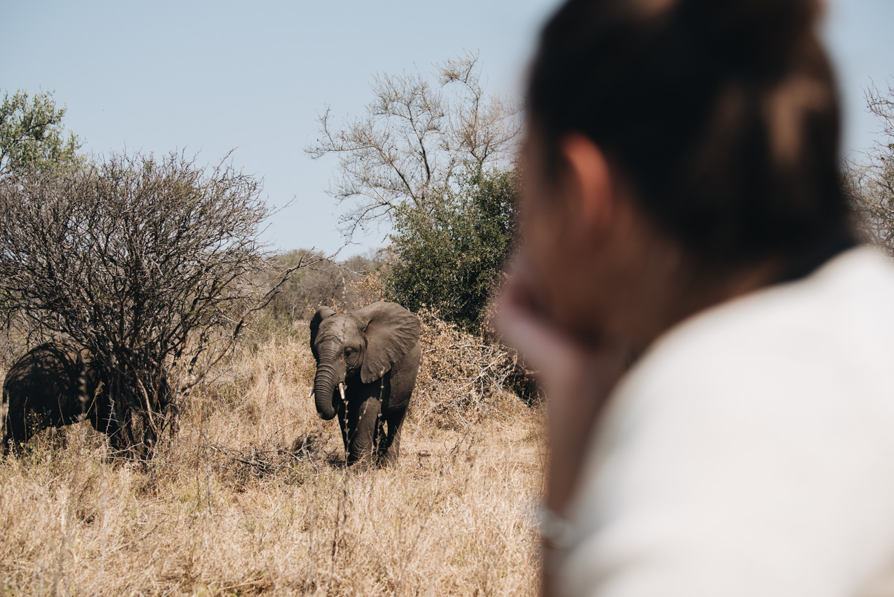 Singita-Safari-Krüger-Nationalpark-südafrika-lebombo-und-sweni-lodge-hotelbericht-erfahrung-reise-tipps-und-tricks-für-eine-safarireise-travel-blogger-nina-schwichtenberg-fashiioncarpet_1