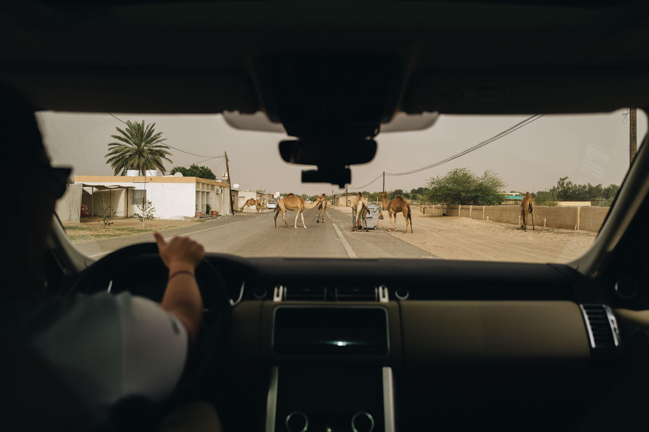 Dubai Wüsten Tour
